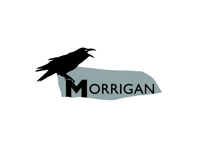Morrigan Limited - Dunlop Business Park
